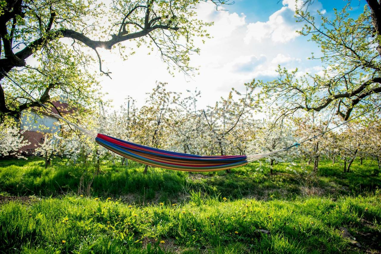 Deichkroenchen Ferienwohnung Altes Land Hamburg Jork Bagian luar foto